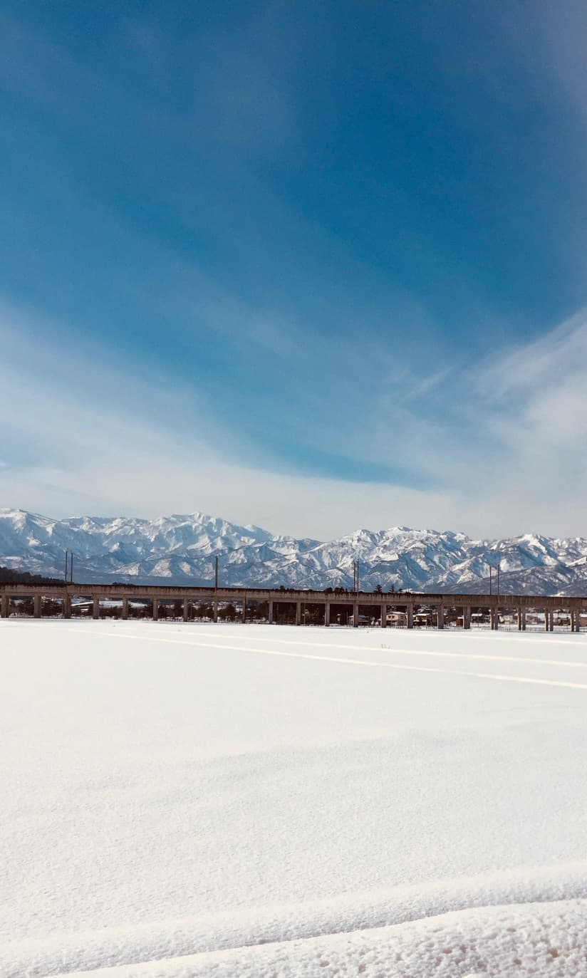 雪原